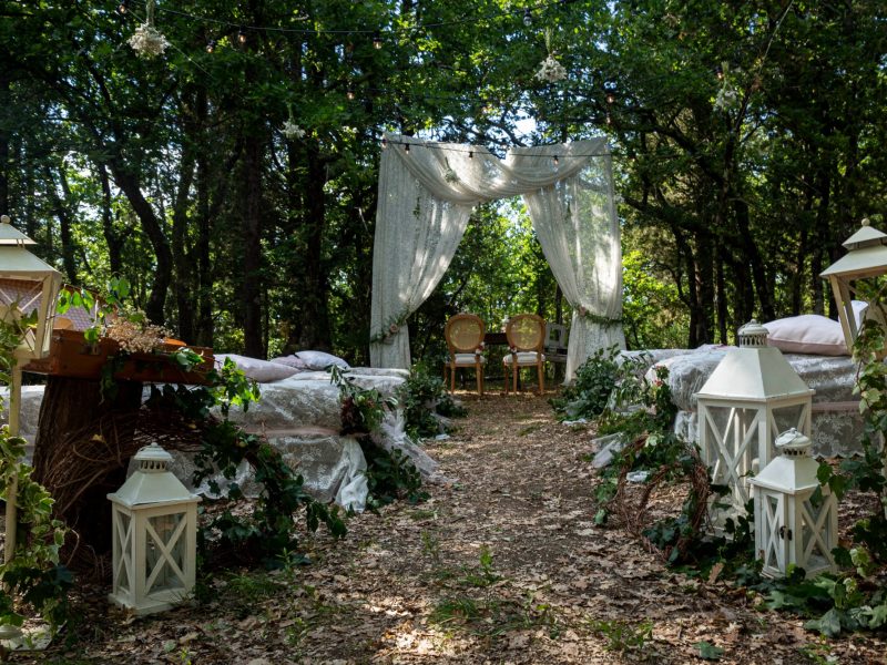 Matrimonio simbolico nel bosco